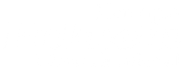 Município de Palmela logo